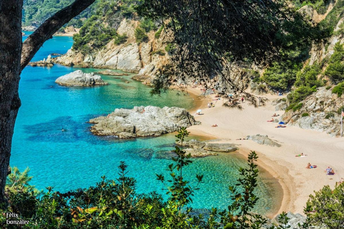 Al11 Apartamento Albert Lloret de Mar Dış mekan fotoğraf